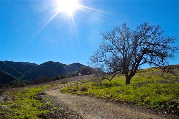 Malibu Creek State Park (SP) (2/27/2011 - Credits: "Malibu Creek State Park" by Alexandra Stewart (CC BY-NC-ND 2.0)[https://creativecommons.org/licenses/by-nc-nd/2.0/legalcode]https://www.flickr.com/photos/msalexphoto/)