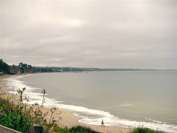 New Brighton State Beach (SB) (9/9/2014 - Credits: "New Brighton SB" by Sara Stasi (CC BY-NC 2.0)[https://creativecommons.org/licenses/by-nc/2.0/legalcode]https://www.flickr.com/photos/stasiland/)