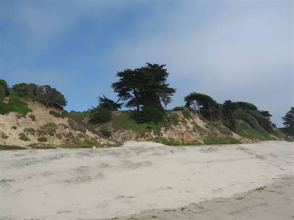 Manresa State Beach (SB) (7/13/2006 - Credits: "Manresa Beach" by Sam Lunn (CC BY 2.0)[https://creativecommons.org/licenses/by/2.0/legalcode]https://www.flickr.com/photos/spoonmonkey/)