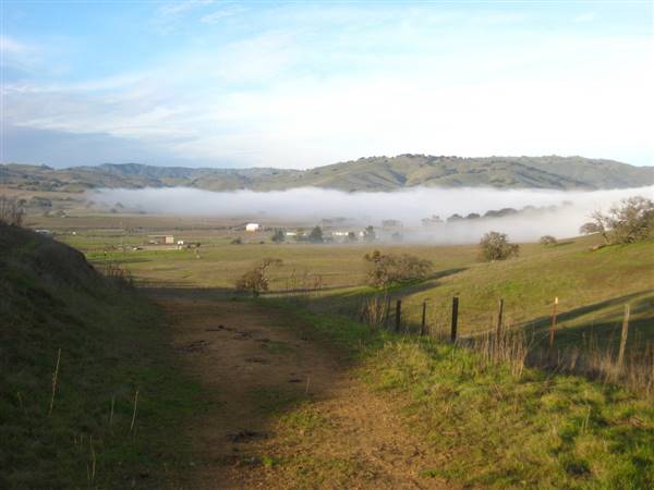 Pacheco State Park (SP) and Windmill Farm / Wind Energy (1/10/2010 - Credits: "The fog rolls in" by Joe Navratil (CC BY-NC-ND 2.0)[https://creativecommons.org/licenses/by-nc-nd/2.0/legalcode]https://www.flickr.com/photos/navratil/)