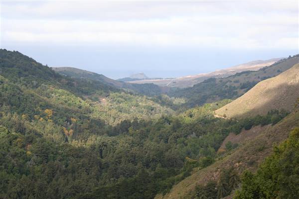 Pfeiffer Big Sur State Park (SP) (10/15/2006 - Credits: "Pfeiffer Big Sur" by Flickr User: Orgidie (CC BY-NC 2.0)[https://creativecommons.org/licenses/by-nc/2.0/legalcode]https://www.flickr.com/photos/orgidie/)