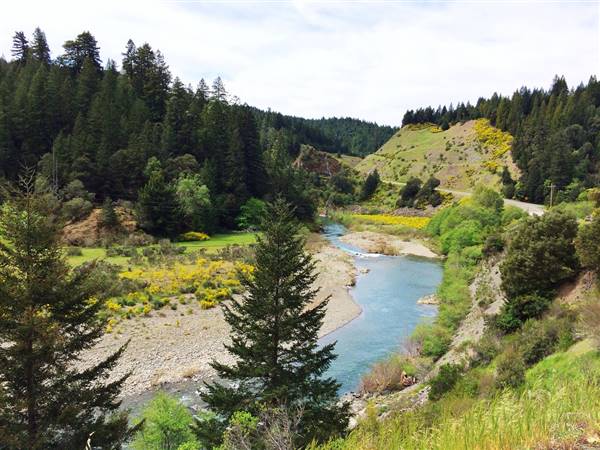 Benbow State Recreation Area (SRA) (4/17/2014 - Credits: "Benbow Lake State Recreation Area" by Sharon Hahn Darlin (CC BY 2.0)[https://creativecommons.org/licenses/by/2.0/legalcode]https://www.flickr.com/photos/sharonhahndarlin/)