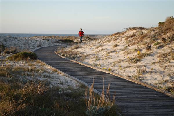 Asilomar State Beach and Conference Grounds (2/24/2008 - Credits: Photo Courtesy of California Travel and Tourism Commissioin / Blaise)