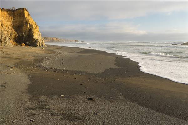 Westport-Union Landing State Beach (SB) (4/2/2016 - Credits: "Westport-Union Landing State Beach" by Troy Smith (CC BY-NC-ND 2.0)[https://creativecommons.org/licenses/by-nc-nd/2.0/legalcode]https://www.flickr.com/photos/high_trails/)