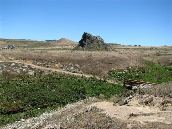 Sonoma Coast State Park (SP) (7/22/2007 - Credits: "Kortum Trail, Sonoma Coast State Beach" by David Berry (CC BY 2.0)[https://creativecommons.org/licenses/by/2.0/legalcode]https://www.flickr.com/photos/dberry/)