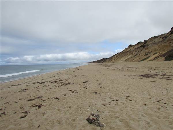 Fort Ord Dunes State Park (SP) (8/10/2016 - Credits: "Monterey Visit - August, 2013 022" by Rob Starobin (CC BY 2.0)[https://creativecommons.org/licenses/by/2.0/legalcode]https://www.flickr.com/photos/93230385@N05/)