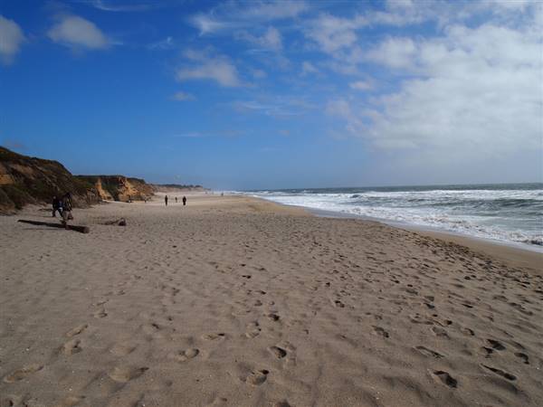 Half Moon Bay State Beach (SB) (5/23/2010 - Credits: "Francis Beach, Half Moon Bay State Park" by Courtney Johnston (CC BY-NC-ND 2.0)[https://creativecommons.org/licenses/by-nc-nd/2.0/legalcode]https://www.flickr.com/photos/courtneyjohnston/)