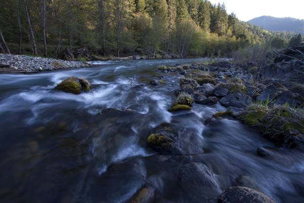 Trinity River (6/18/2015 - Credits: "Trinity WSR" by the Bureau of Land Management (CC BY 2.0)[https://creativecommons.org/licenses/by/2.0/legalcode]https://www.flickr.com/photos/mypubliclands/)