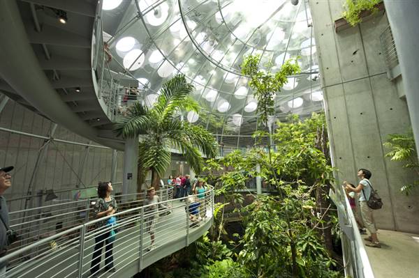 California Academy of Sciences (6/28/2014 - Credits: Photograph Courtesy of Visit California)