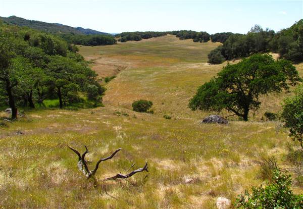Trione-Annadel State Park (SP) (9/8/2016 - Credits: "Annadel State Park" by David Berry (CC BY 2.0)[https://creativecommons.org/licenses/by/2.0/legalcode]https://www.flickr.com/photos/dberry/)