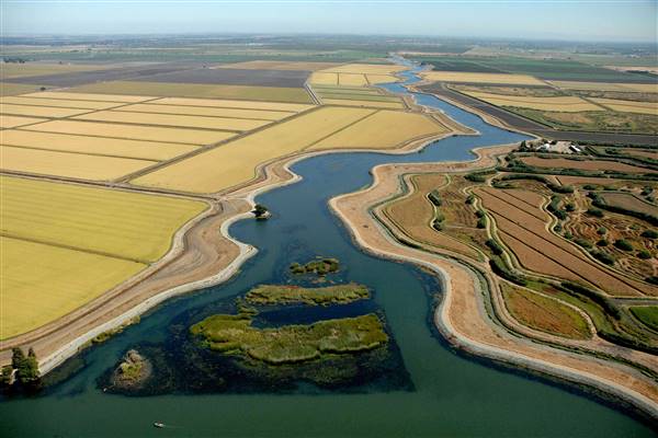 Sacramento-San Joaquin Delta (10/5/2016 - Credits: Photo courtesy of California Department of Water Resources)
