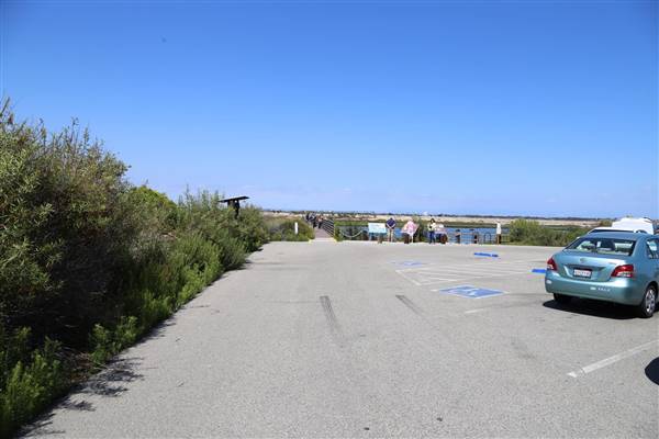 Bolsa Chica Ecological Reserve - California Department of Fish & Wildlife (CDFW) (10/18/2016 - Credits: Photo courtesy of Kris Bunting)