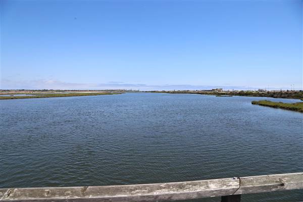 Bolsa Chica Ecological Reserve - California Department of Fish & Wildlife (CDFW) (10/18/2016 - Credits: Photo courtesy of Kris Bunting)