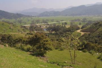 El Campeon Farms - Windy Hill Ranch (10/21/2016)