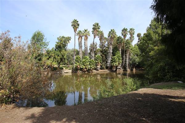Los Angeles County Arboretum (11/3/2016 - Credits: Photo courtesy of Kris Bunting)
