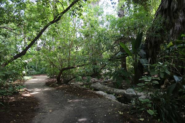 Los Angeles County Arboretum (11/3/2016 - Credits: Photo courtesy of Kris Bunting)