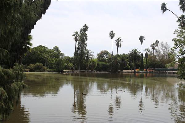 Los Angeles County Arboretum (11/3/2016 - Credits: Photo courtesy of Kris Bunting)