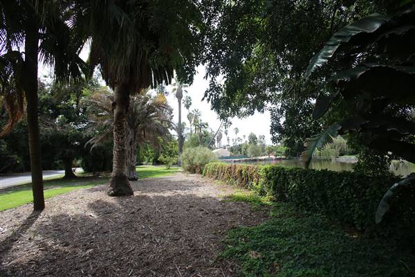Los Angeles County Arboretum (11/3/2016 - Credits: Photo courtesy of Kris Bunting)