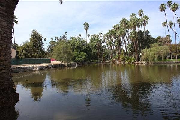 Los Angeles County Arboretum (11/3/2016 - Credits: Photo courtesy of Kris Bunting)