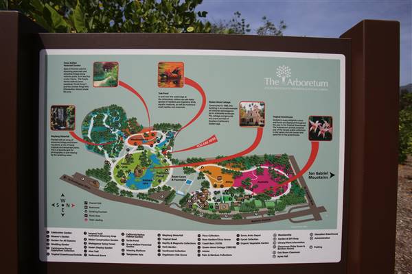 Los Angeles County Arboretum (11/3/2016 - Credits: Photo courtesy of Kris Bunting)