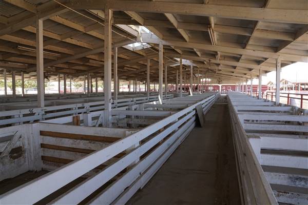 Kern County Fair - 15th DAA - Various Barn and Livestock Areas (11/7/2016 - Credits: Barns & Livestock Area - Photo courtesy of Kern County Fair)