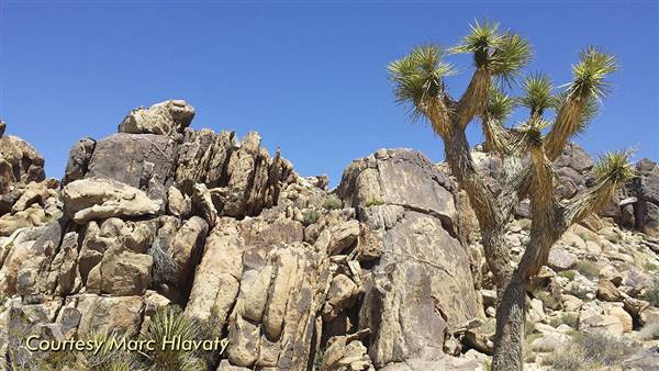 Desert View Conservation Area (4/28/2014 - Credits: Marc Hlavaty)