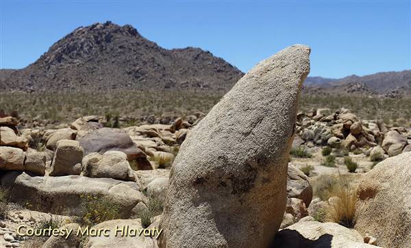 Desert View Conservation Area (4/28/2014 - Credits: Marc Hlavaty)