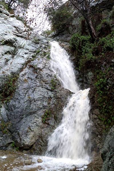 Monrovia Canyon Falls (5/1/2017)