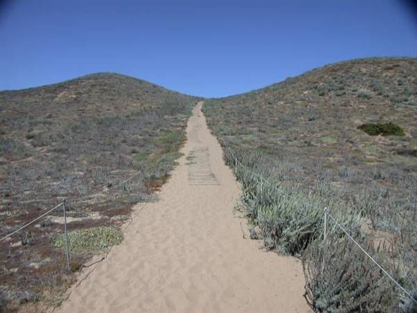 Sand City Beach / Eolian Dunes Preserve - Sand Dunes (6/28/2017)