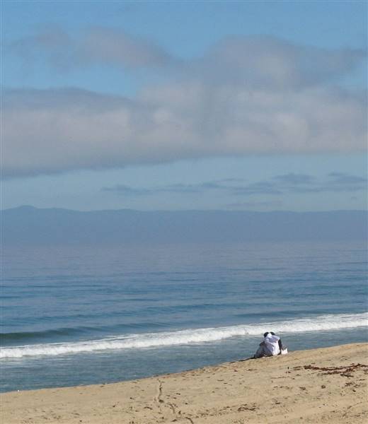Sand City Beach / Eolian Dunes Preserve - Sand Dunes (6/28/2017)