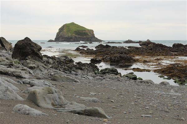 Van Damme State Park (SP) / Beach / Pygmy Forest / Fern Canyon Trail / Spring Ranch Trail - Beach (4/5/2017 - Credits: Kellen Lim)