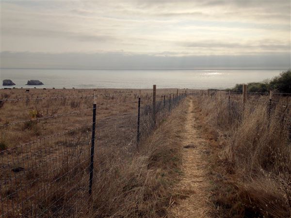 Newport Coastal Trail - Tail end of the coastal trail (9/6/2017 - Credits: Kellen Lim)
