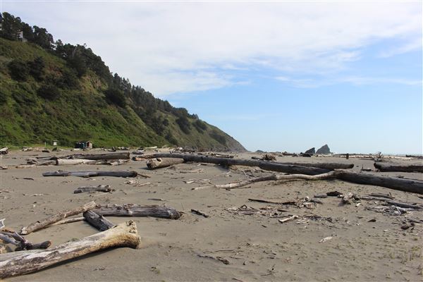 Navarro River Beach - Navarro River Redwoods State Park (SP) (3/31/2017 - Credits: Kellen Lim)