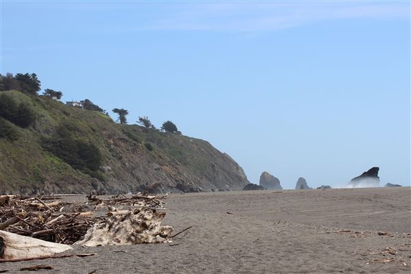Navarro River Beach - Navarro River Redwoods State Park (SP) - Shape of the beach changes during each season. Stretch of beach lengthens and closes up Navarro River mouth during summer months. Amount of driftwood also varies annually. (3/2/2017 - Credits: Kellen Lim)