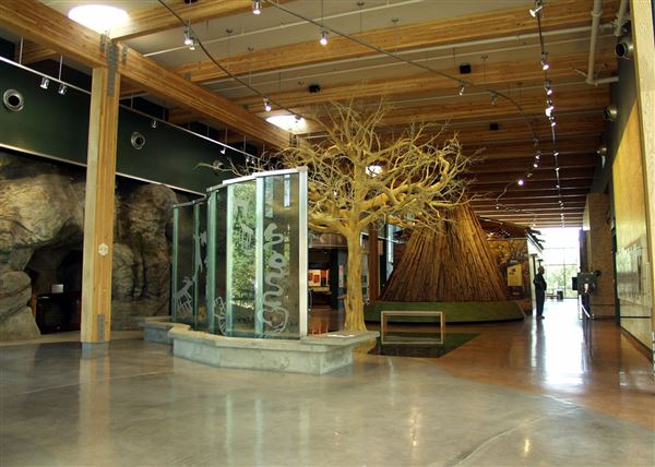 Shasta County Museums (1/19/2018)