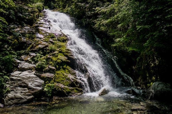 Shasta County Waterfalls (1/19/2018)