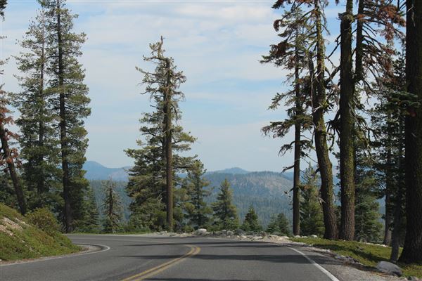 Shasta County Roads & Bridges (1/19/2018)