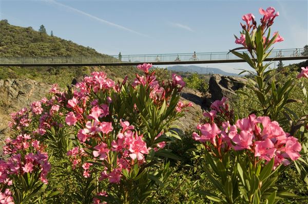 Shasta County Roads & Bridges (1/19/2018)