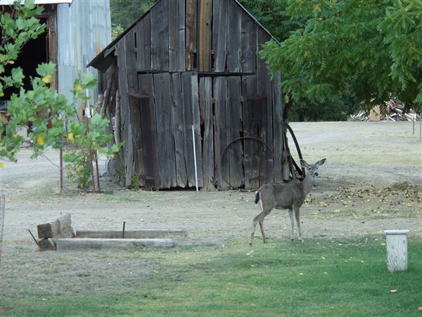 Shasta County Towns & Cities (1/19/2018)