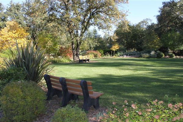 Shasta County Gardens (1/22/2018)