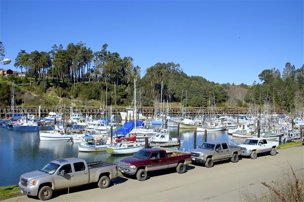 Noyo Harbor District - Noyo Harbor District (Noyo Harbor south bank) (2/13/2018 - Credits: Kellen Lim)
