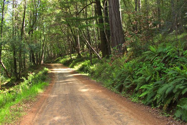 Peachland Road - Anderson Valley region- North East of Boonville, transition to dirt road. (5/15/2018 - Credits: Kellen Lim)
