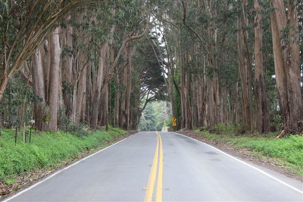 Highway 1 - North Coast corridor (3/29/2017 - Credits: Kellen Lim)