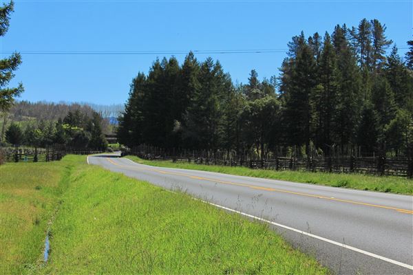 Highway 128 - Anderson Valley corridor - Highway 128 - North of Philo, Vineyards (looking southward) (3/15/2017 - Credits: Kellen Lim)