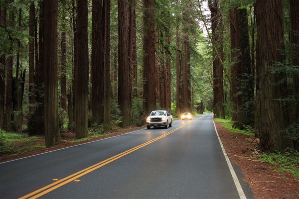 Navarro River Redwoods State Park (SP) (5/15/2018 - Credits: Kellen Lim)