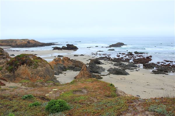 Haul Road Coastal Trail (MacKerricher State Park) (7/16/2018 - Credits: Kellen Lim)