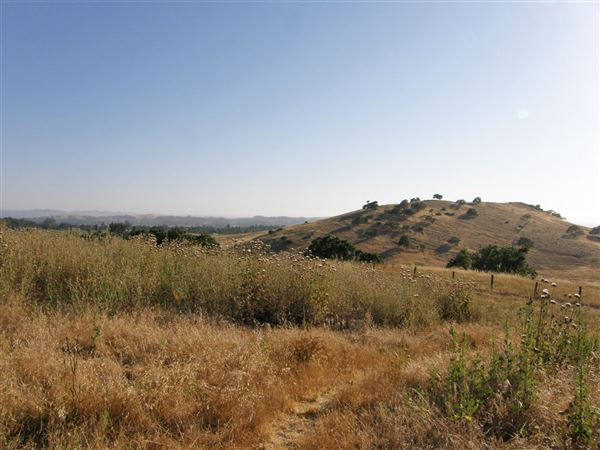Crane Creek Regional Park (7/25/2018)