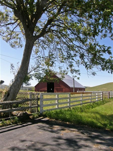 J G Angus Ranch (7/25/2018)
