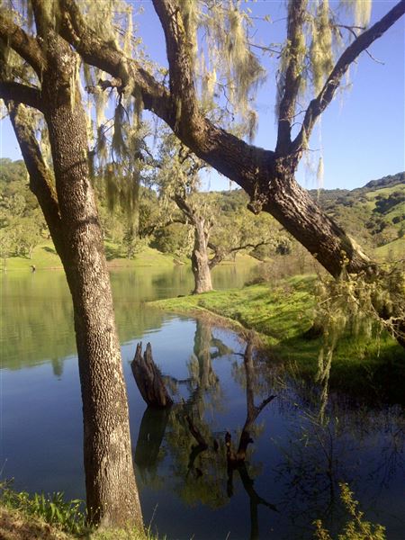 Lake Sonoma (7/25/2018)