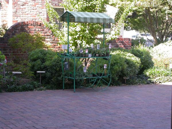Luther Burbank Home & Gardens (7/25/2018)